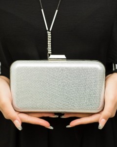 Gümüş Abiye Kasalı Çanta