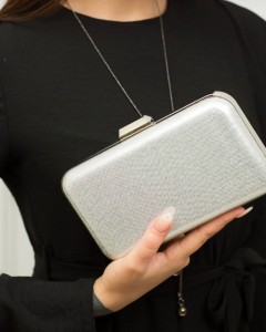 Gümüş Abiye Kasalı Çanta