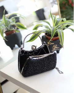 Kadın Siyah İnci Taşlı Taşlı Tutma Detaylı Abiye Çanta