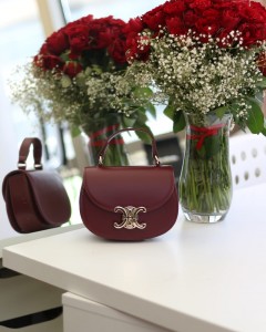 Kadın Bordo Kanca Gold Toka Detaylı Mini El & Omuz Çantası