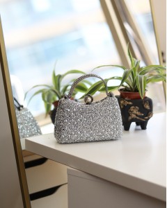 Kadın Silver İnci Taşlı Taşlı Tutma Detaylı Abiye Çanta