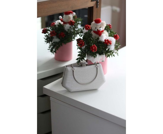 Kadın Beyaz Tutma Detaylı Abiye Çanta 