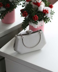 Kadın Beyaz Tutma Detaylı Abiye Çanta 