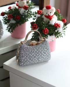 Kadın Silver Taşlı Tutma Detaylı Abiye Çanta