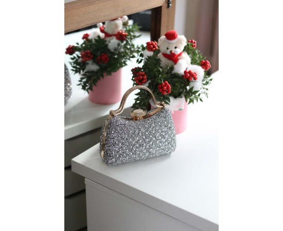 Kadın Silver Taşlı Tutma Detaylı Abiye Çanta