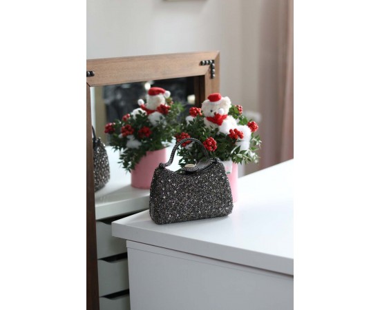 Kadın Platin Taşlı Tutma Detaylı Abiye Çanta