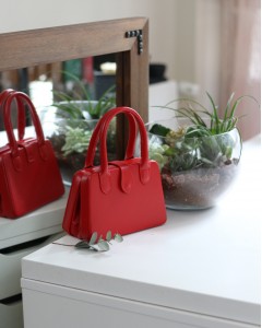 Kadın Kırmızı Çift Kulp Detaylı Mini Kalıp Omuz Çantası