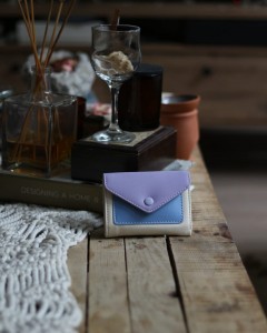 Lila Mavi Çift Renk Düğme Detaylı Mini Cüzdan