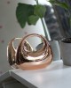 Kadın Rose Gold Metalik Oval Tutmalı Mika Kalıp Abiye El Çantası
