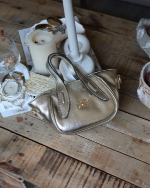 Gold Tutma Saplı Pouch El Çantası