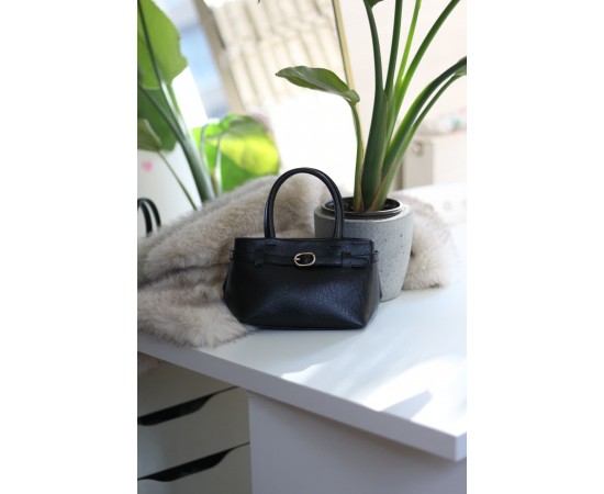 Siyah mini boy gold toka detaylı el omuz çantası Siyah mini boy gold toka detaylı el omuz çantası