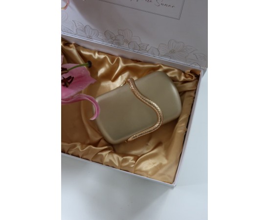 Gold yılan aksesuar detaylı kasa zincirli abiye çanta Gold yılan aksesuar detaylı kasa zincirli abiye çanta