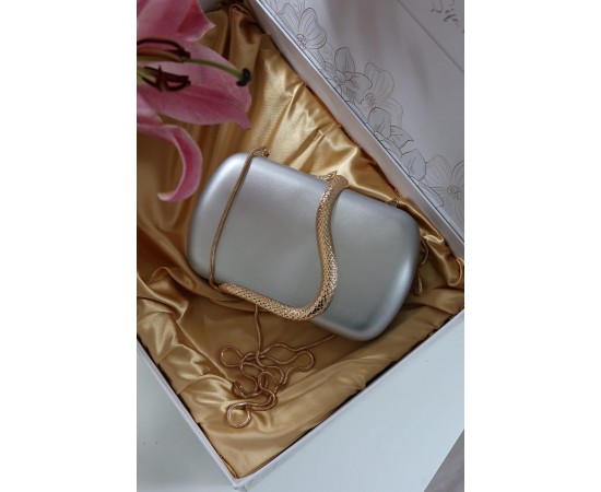 Silver yılan aksesuar detaylı kasa zincirli abiye çanta Silver yılan aksesuar detaylı kasa zincirli abiye çanta