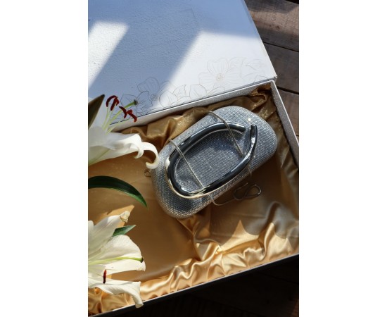 Silver Taşlı Mika Tutma Aksesuarlı Zincirli Omuz Çantası