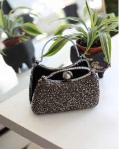 Kadın Platin İnci Taşlı Taşlı Tutma Detaylı Abiye Çanta