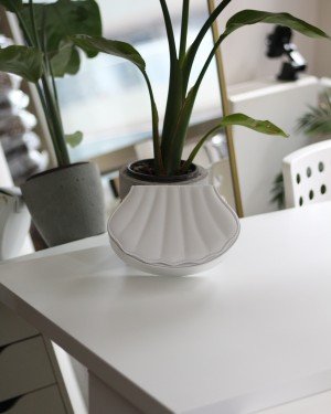 Kadın Beyaz İstiridye Kalıp Zincirli El Omuz Çantası