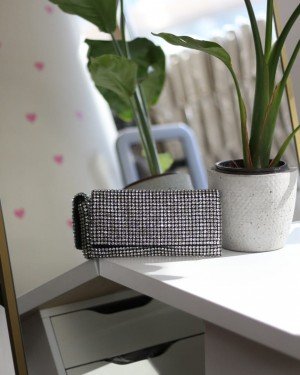 Kadın Silver Taş Dokuma Kapak Detaylı  Slim El Çantası